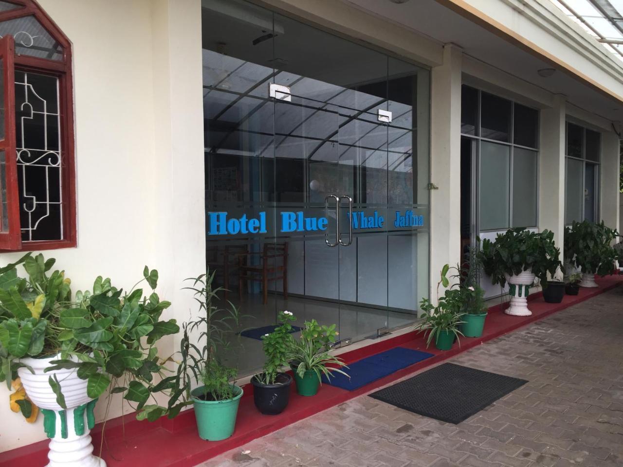 Hotel Blue Whale جافنا المظهر الخارجي الصورة