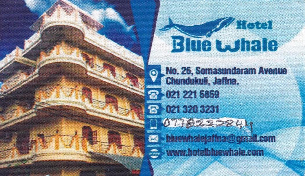 Hotel Blue Whale جافنا المظهر الخارجي الصورة